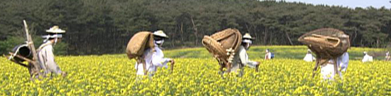 혼의상인 고령보부상 