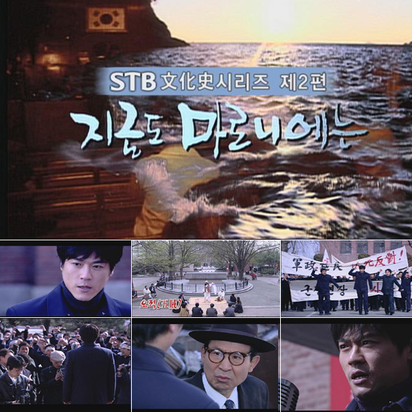 지금도 마로니에는