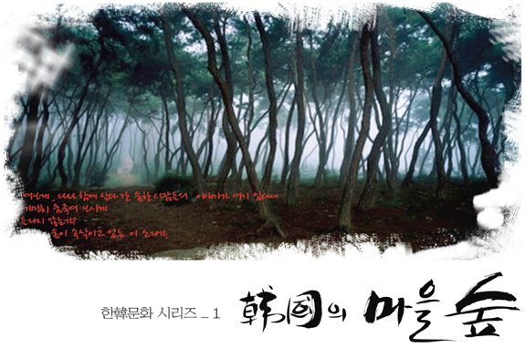 한국의 마을 숲