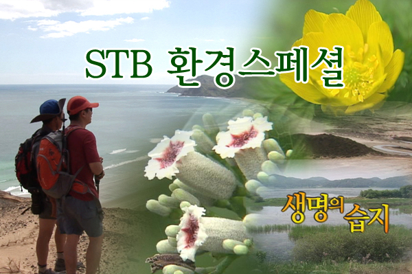 STB 환경스페셜