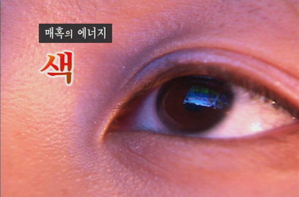 매혹의 에너지 색