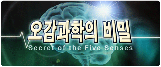 메인타이틀 이미지